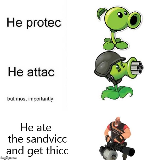 He protec he attac but most importantly | He ate the sandvicc and get thicc | image tagged in he protec he attac but most importantly | made w/ Imgflip meme maker