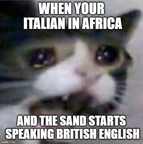 Screaming Cat | WHEN YOUR ITALIAN IN AFRICA; AND THE SAND STARTS SPEAKING BRITISH ENGLISH | image tagged in screaming cat | made w/ Imgflip meme maker