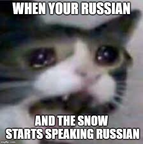 Screaming Cat | WHEN YOUR RUSSIAN; AND THE SNOW STARTS SPEAKING RUSSIAN | image tagged in screaming cat | made w/ Imgflip meme maker