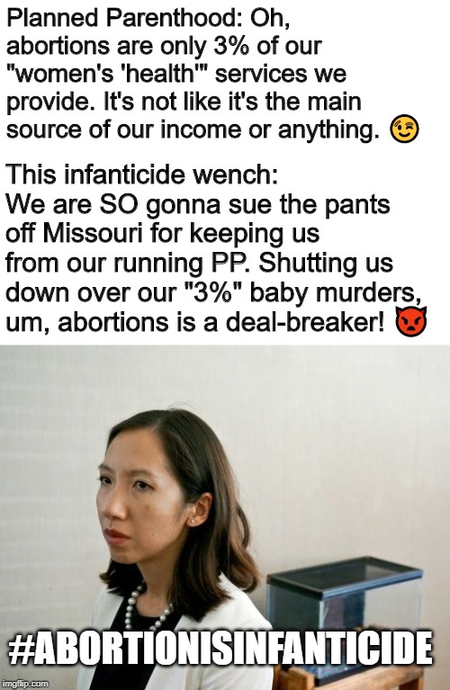 Way to go, MO! #EndAbortion | Planned Parenthood: Oh, abortions are only 3% of our "women's 'health'" services we provide. It's not like it's the main source of our income or anything. 😉; This infanticide wench: We are SO gonna sue the pants off Missouri for keeping us from our running PP. Shutting us down over our "3%" baby murders, um, abortions is a deal-breaker! 👿; #ABORTIONISINFANTICIDE | image tagged in memes,abortion,abortion is murder,planned parenthood,missouri,prolife | made w/ Imgflip meme maker
