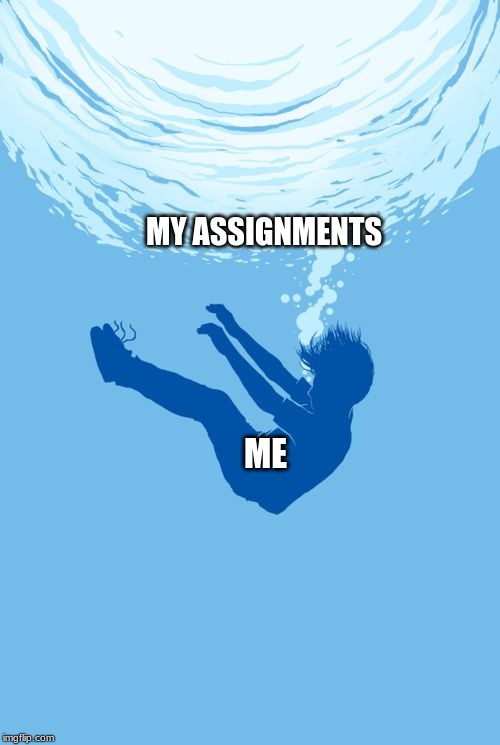 drowning in x | MY ASSIGNMENTS; ME | image tagged in drowning in x | made w/ Imgflip meme maker