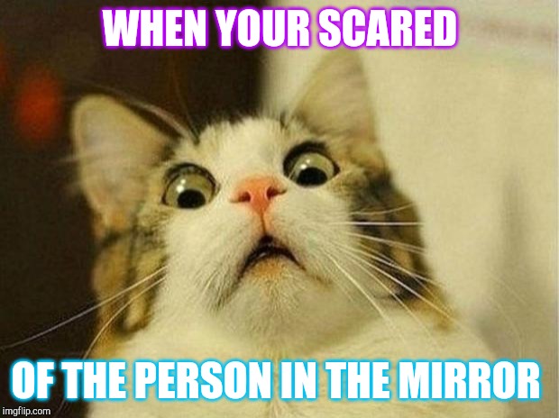 Scared Cat Meme | WHEN YOUR SCARED; OF THE PERSON IN THE MIRROR | image tagged in memes,scared cat | made w/ Imgflip meme maker