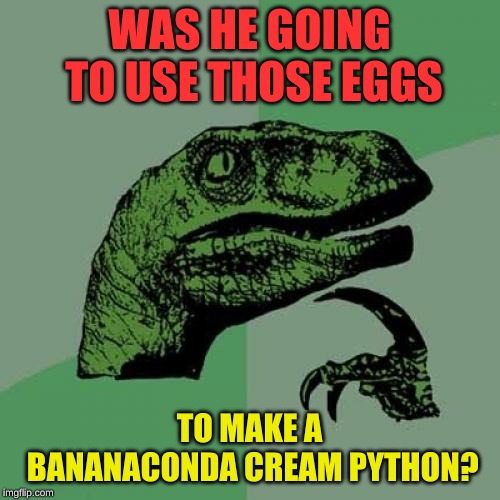 Philosoraptor Meme | WAS HE GOING TO USE THOSE EGGS TO MAKE A BANANACONDA CREAM PYTHON? | image tagged in memes,philosoraptor | made w/ Imgflip meme maker