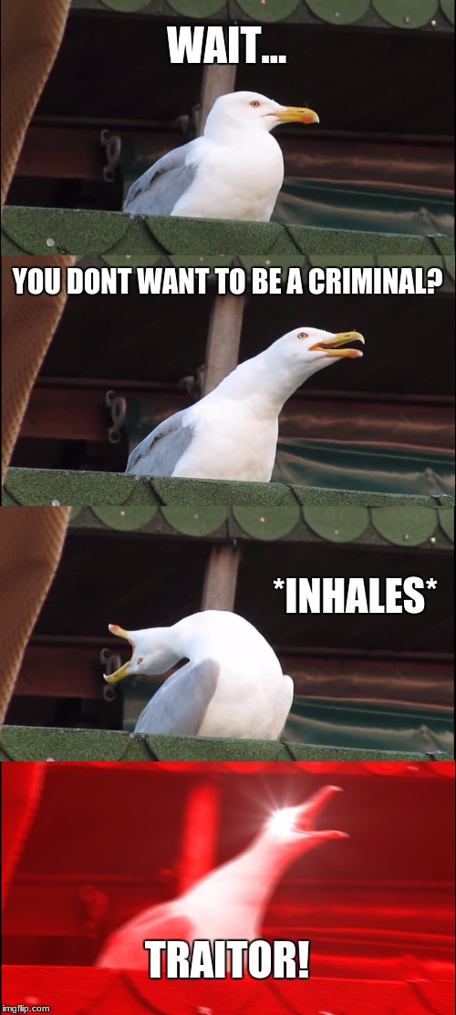 Inhaling Seagull Meme | WAIT... YOU DONT WANT TO BE A CRIMINAL? *INHALES*; TRAITOR! | image tagged in memes,inhaling seagull | made w/ Imgflip meme maker