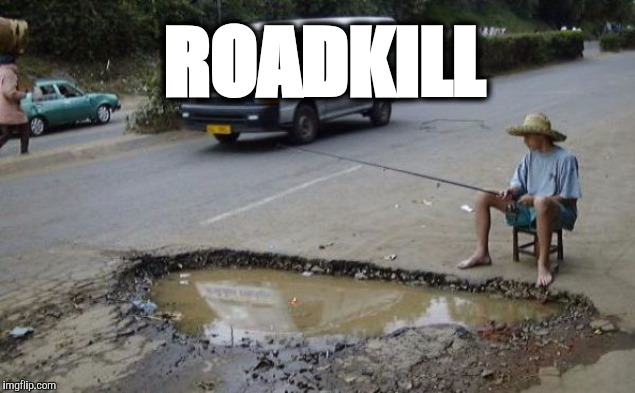 Highway fishing | ROADKILL | image tagged in roadkill | made w/ Imgflip meme maker