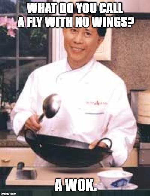 Take a wok on the wild side. | WHAT DO YOU CALL A FLY WITH NO WINGS? A WOK. | image tagged in funny memes,bad puns,chinese food,jokes | made w/ Imgflip meme maker