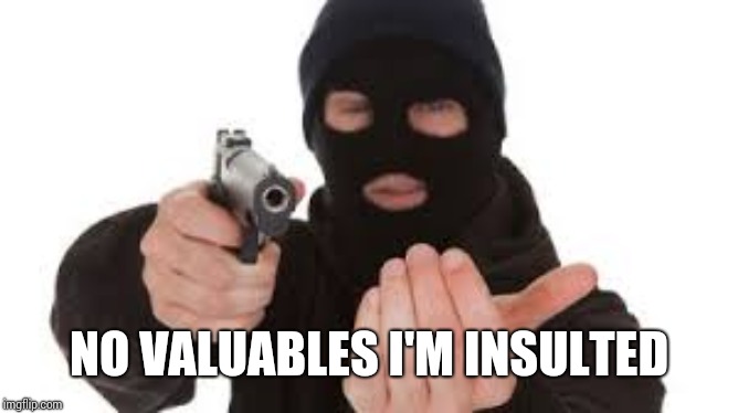 Robber | NO VALUABLES I'M INSULTED | image tagged in robber | made w/ Imgflip meme maker