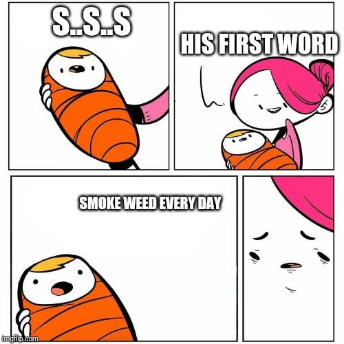 baby's first word |  HIS FIRST WORD; S..S..S; SMOKE WEED EVERY DAY | image tagged in baby's first word | made w/ Imgflip meme maker