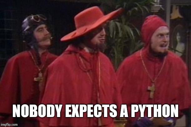 Nobody Expects the Spanish Inquisition Monty Python | NOBODY EXPECTS A PYTHON | image tagged in nobody expects the spanish inquisition monty python | made w/ Imgflip meme maker