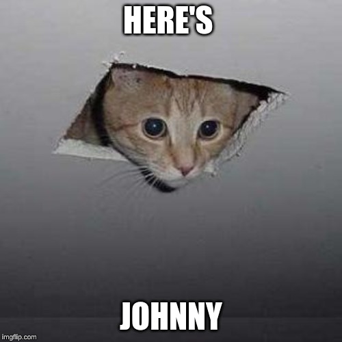 Ceiling Cat Meme | HERE'S; JOHNNY | image tagged in memes,ceiling cat | made w/ Imgflip meme maker