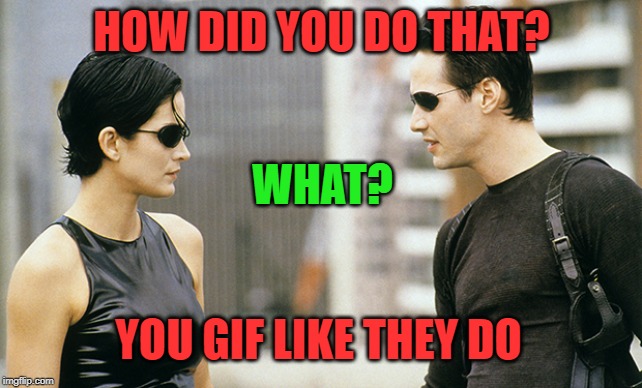 HOW DID YOU DO THAT? WHAT? YOU GIF LIKE THEY DO | made w/ Imgflip meme maker