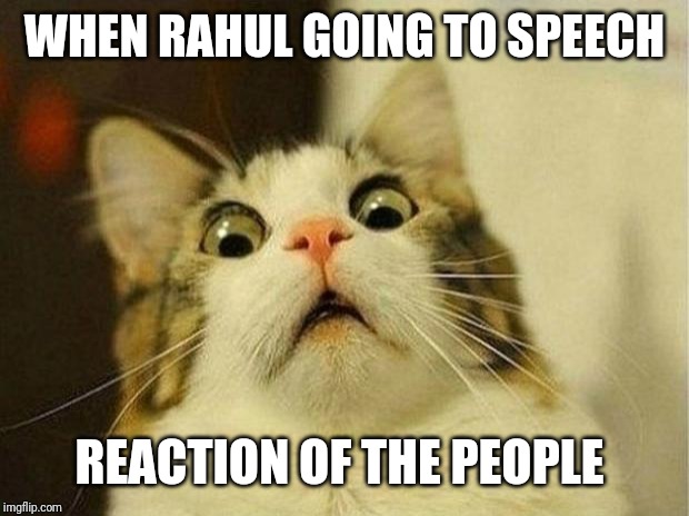 Scared Cat | WHEN RAHUL GOING TO SPEECH; REACTION OF THE PEOPLE | image tagged in memes,scared cat | made w/ Imgflip meme maker