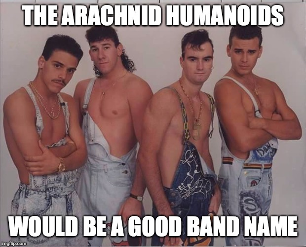 boy band | THE ARACHNID HUMANOIDS WOULD BE A GOOD BAND NAME | image tagged in boy band | made w/ Imgflip meme maker