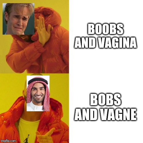 Drake Blank | BOOBS AND VAGINA; BOBS AND VAGNE | image tagged in drake blank | made w/ Imgflip meme maker