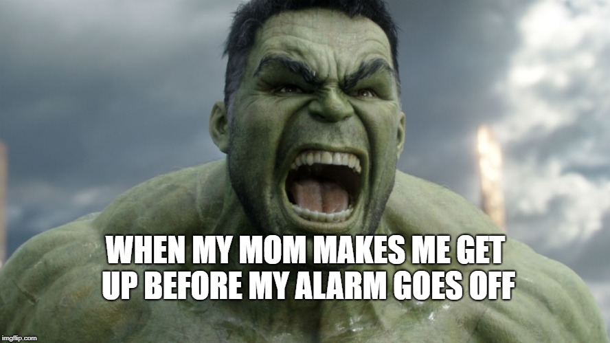 Leave me alone | WHEN MY MOM MAKES ME GET UP BEFORE MY ALARM GOES OFF | image tagged in sleepy | made w/ Imgflip meme maker
