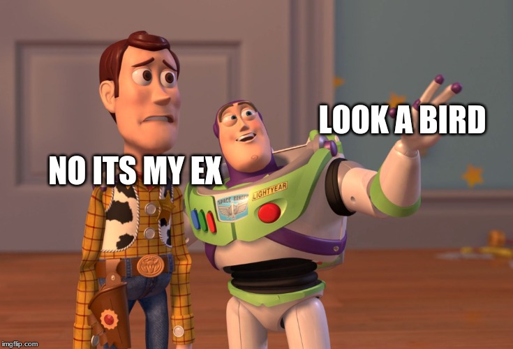 X, X Everywhere Meme | NO ITS MY EX; LOOK A BIRD | image tagged in memes,x x everywhere | made w/ Imgflip meme maker