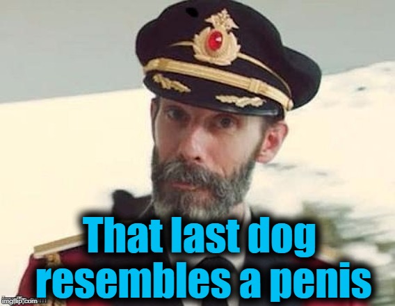 Captain Obvious | That last dog resembles a p**is | image tagged in captain obvious | made w/ Imgflip meme maker