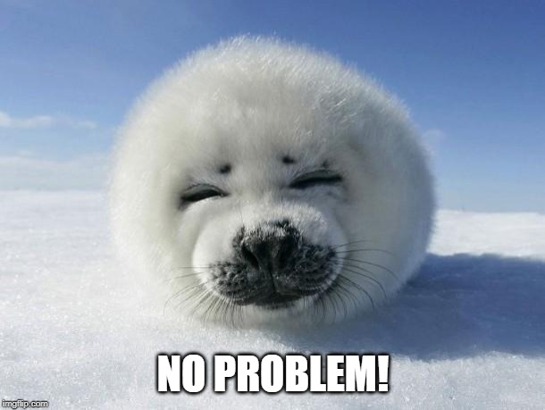 Seal Of Approval | NO PROBLEM! | image tagged in seal of approval | made w/ Imgflip meme maker