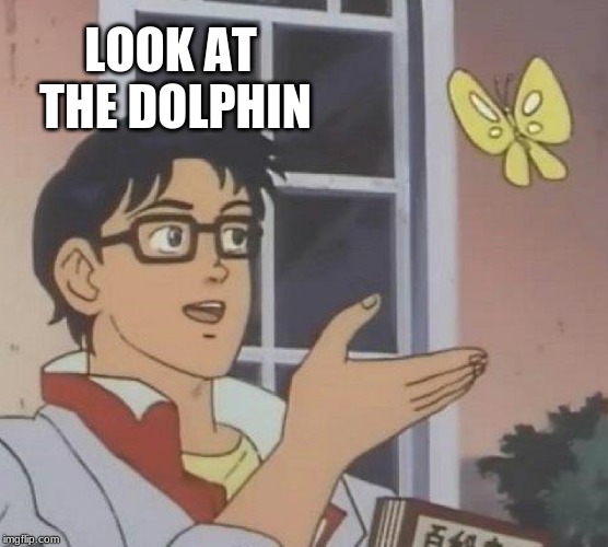 Is This A Pigeon | LOOK AT THE DOLPHIN | image tagged in memes,is this a pigeon | made w/ Imgflip meme maker