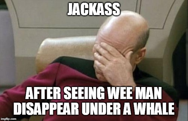 Captain Picard Facepalm | JACKASS; AFTER SEEING WEE MAN DISAPPEAR UNDER A WHALE | image tagged in memes,captain picard facepalm | made w/ Imgflip meme maker