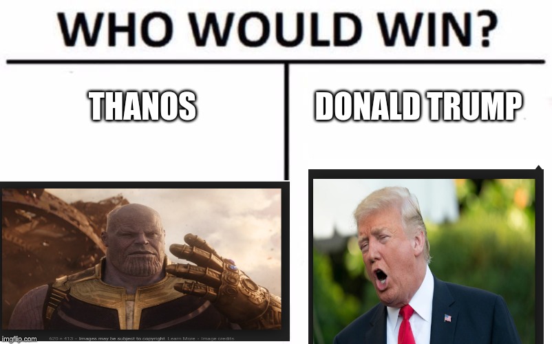 Who Would Win? | THANOS; DONALD TRUMP | image tagged in memes,who would win | made w/ Imgflip meme maker