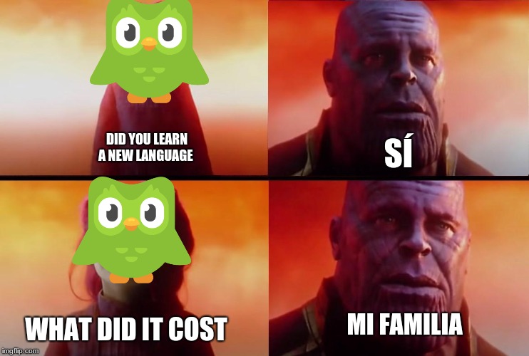 thanos what did it cost |  DID YOU LEARN A NEW LANGUAGE; SÍ; MI FAMILIA; WHAT DID IT COST | image tagged in thanos what did it cost | made w/ Imgflip meme maker