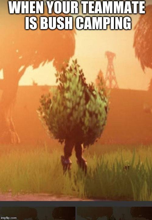 Fortnite bush | WHEN YOUR TEAMMATE IS BUSH CAMPING | image tagged in fortnite bush | made w/ Imgflip meme maker