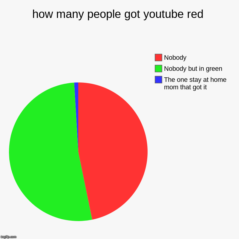 how many people got youtube red | The one stay at home mom that got it, Nobody but in green, Nobody | image tagged in charts,pie charts | made w/ Imgflip chart maker
