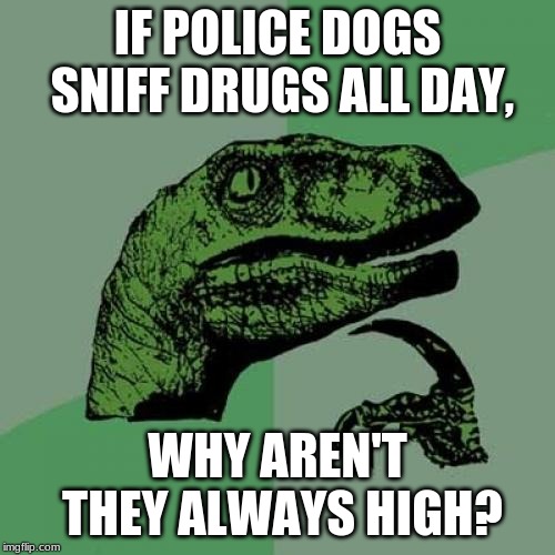 Thinking about this is slightly concerning | IF POLICE DOGS SNIFF DRUGS ALL DAY, WHY AREN'T THEY ALWAYS HIGH? | image tagged in memes,philosoraptor | made w/ Imgflip meme maker