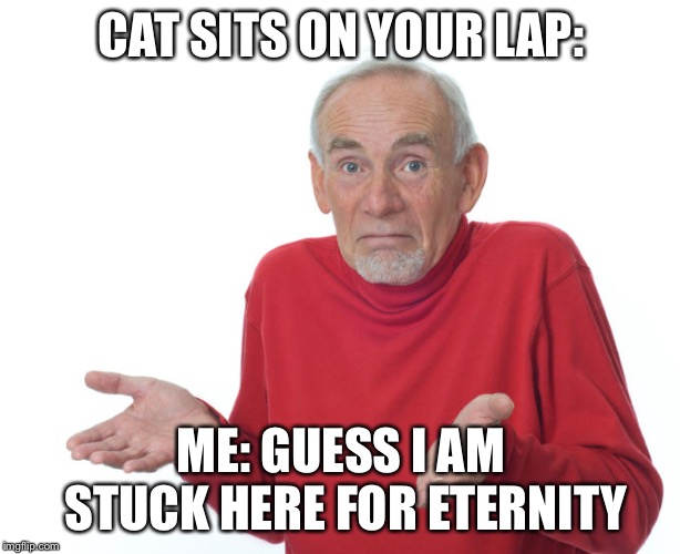 Isn’t this relatable | CAT SITS ON YOUR LAP:; ME: GUESS I AM STUCK HERE FOR ETERNITY | image tagged in guess ill die,memes,cats,relatable,relatable-stuff | made w/ Imgflip meme maker