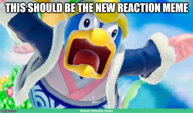 THIS SHOULD BE THE NEW REACTION MEME | image tagged in king dedede | made w/ Imgflip meme maker