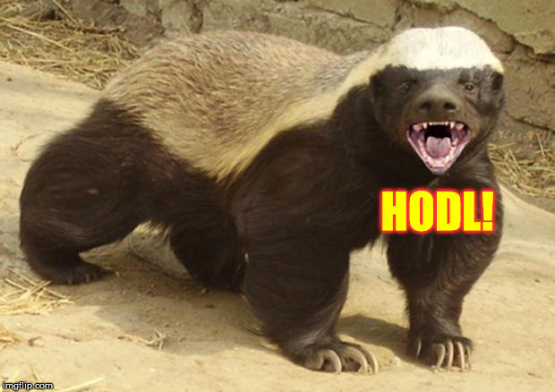 Honey badger | HODL! | image tagged in honey badger | made w/ Imgflip meme maker