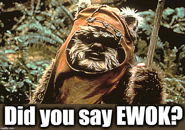 Did you say EWOK? | made w/ Imgflip meme maker
