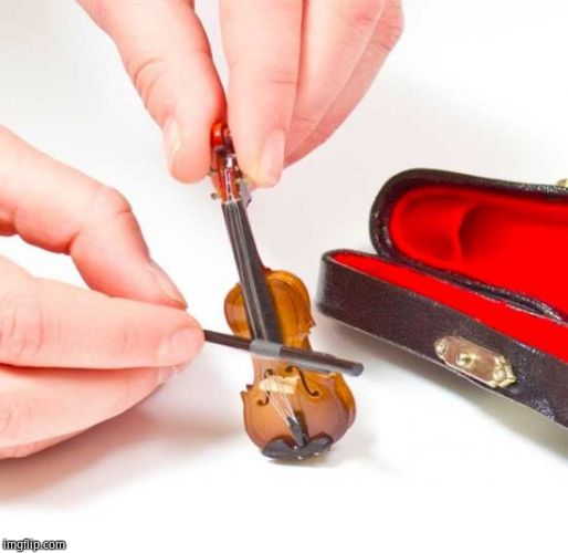 Small violin | image tagged in small violin | made w/ Imgflip meme maker