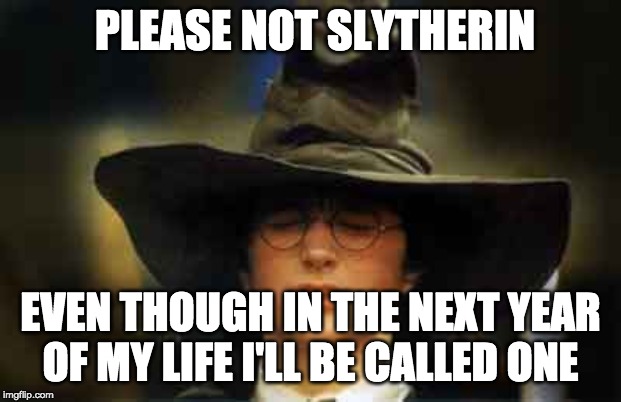 Harry Potter sorting hat | PLEASE NOT SLYTHERIN; EVEN THOUGH IN THE NEXT YEAR OF MY LIFE I'LL BE CALLED ONE | image tagged in harry potter sorting hat | made w/ Imgflip meme maker