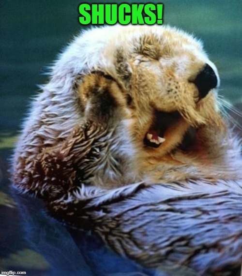 Shucks Otter | SHUCKS! | image tagged in shucks otter | made w/ Imgflip meme maker