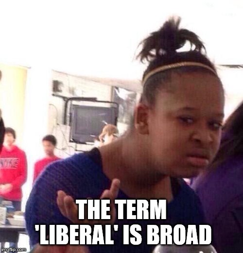 Black Girl Wat Meme | THE TERM 'LIBERAL' IS BROAD | image tagged in memes,black girl wat | made w/ Imgflip meme maker