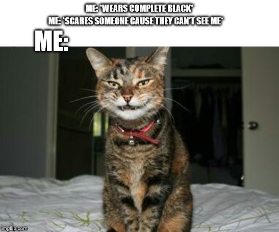 The greatness of scaring un-suspecting people | ME: *WEARS COMPLETE BLACK*; ME:; ME: *SCARES SOMEONE CAUSE THEY CAN'T SEE ME* | image tagged in evil smile cat | made w/ Imgflip meme maker
