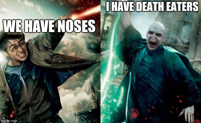 Harry Potter - Voldemort | I HAVE DEATH EATERS; WE HAVE NOSES | image tagged in harry potter - voldemort | made w/ Imgflip meme maker
