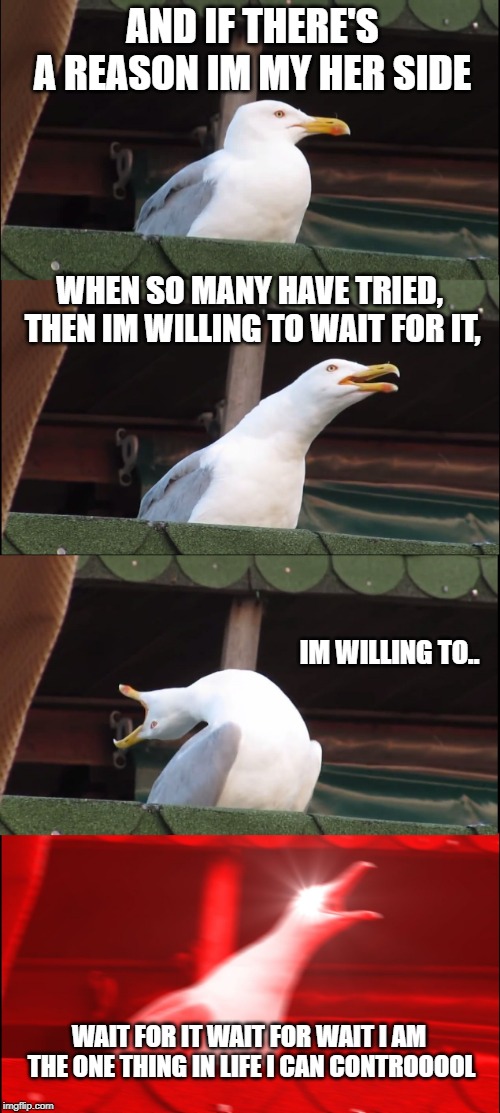 Inhaling Seagull Meme | AND IF THERE'S A REASON IM MY HER SIDE; WHEN SO MANY HAVE TRIED, THEN IM WILLING TO WAIT FOR IT, IM WILLING TO.. WAIT FOR IT WAIT FOR WAIT I AM THE ONE THING IN LIFE I CAN CONTROOOOL | image tagged in memes,inhaling seagull | made w/ Imgflip meme maker