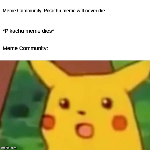 Surprised Pikachu | Meme Community: Pikachu meme will never die; *Pikachu meme dies*; Meme Community: | image tagged in memes,surprised pikachu | made w/ Imgflip meme maker