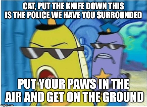 Spongebob Police | CAT, PUT THE KNIFE DOWN THIS IS THE POLICE WE HAVE YOU SURROUNDED PUT YOUR PAWS IN THE AIR AND GET ON THE GROUND | image tagged in spongebob police | made w/ Imgflip meme maker
