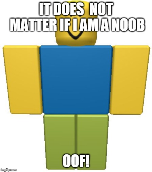 ROBLOX Noob | IT DOES  NOT MATTER IF I AM A NOOB; OOF! | image tagged in roblox noob | made w/ Imgflip meme maker