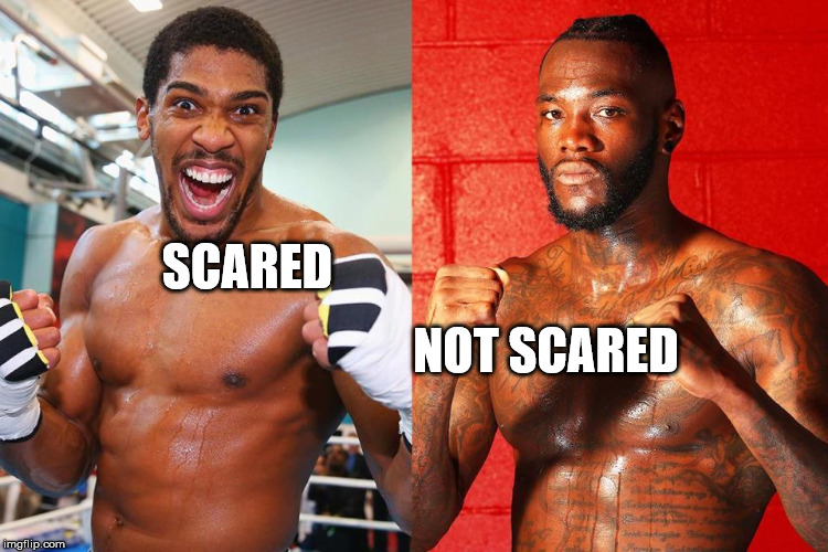 Joshua vs Wilder meme | SCARED; NOT SCARED | image tagged in boxing,espn,sports,hbo,funny memes,memes | made w/ Imgflip meme maker