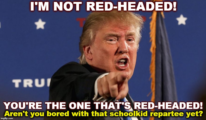 What again? Shut up and let the grownups talk. | I'M NOT RED-HEADED! YOU'RE THE ONE THAT'S RED-HEADED! Aren't you bored with that schoolkid repartee yet? | image tagged in trump,red head,hair,projection,school | made w/ Imgflip meme maker