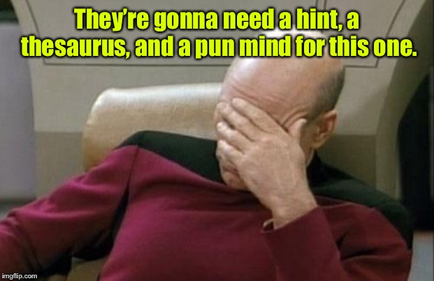 Captain Picard Facepalm Meme | They’re gonna need a hint, a thesaurus, and a pun mind for this one. | image tagged in memes,captain picard facepalm | made w/ Imgflip meme maker