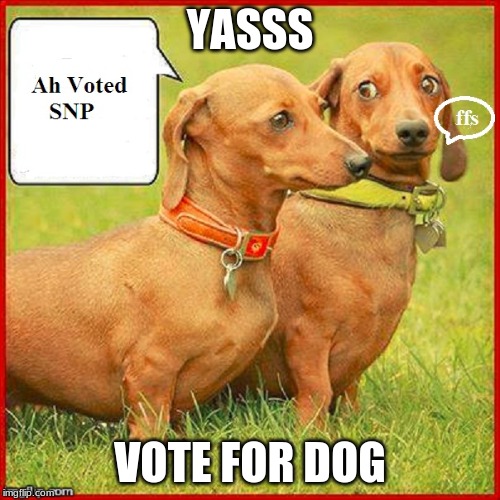 YASSS VOTE FOR DOG | made w/ Imgflip meme maker