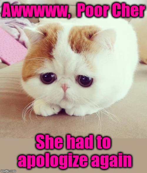 Didn't she learn from Mr DeNiro? | Awwwww,  Poor Cher; She had to apologize again | image tagged in sad cat | made w/ Imgflip meme maker