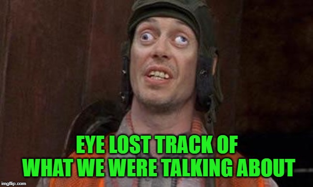 Cross eyes | EYE LOST TRACK OF WHAT WE WERE TALKING ABOUT | image tagged in cross eyes | made w/ Imgflip meme maker