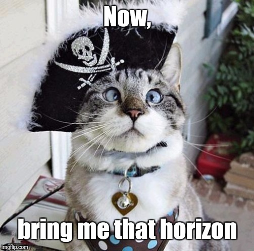 Spangles Meme | Now, bring me that horizon | image tagged in memes,spangles | made w/ Imgflip meme maker